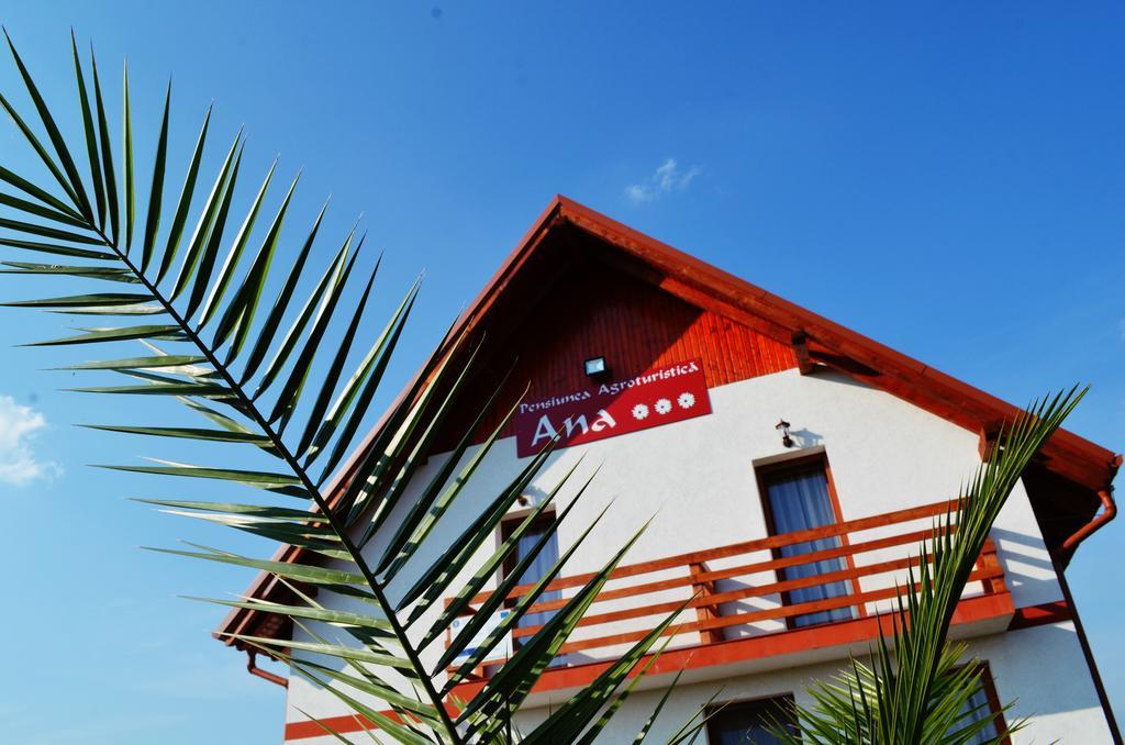 Pensiunea Ana Odoreu Exterior photo