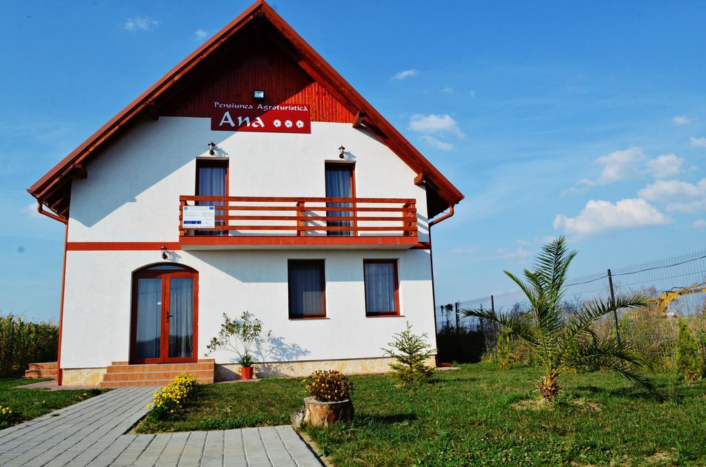 Pensiunea Ana Odoreu Exterior photo