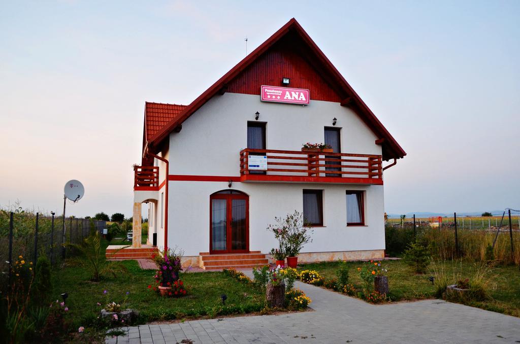 Pensiunea Ana Odoreu Exterior photo